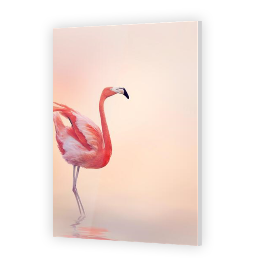 Thumbnail for Acrylic