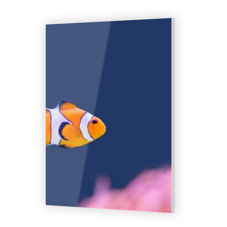 Thumbnail for Acrylic