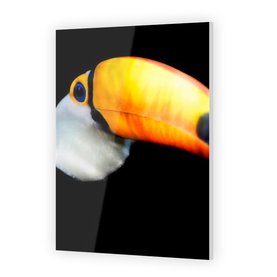 Thumbnail for Acrylic