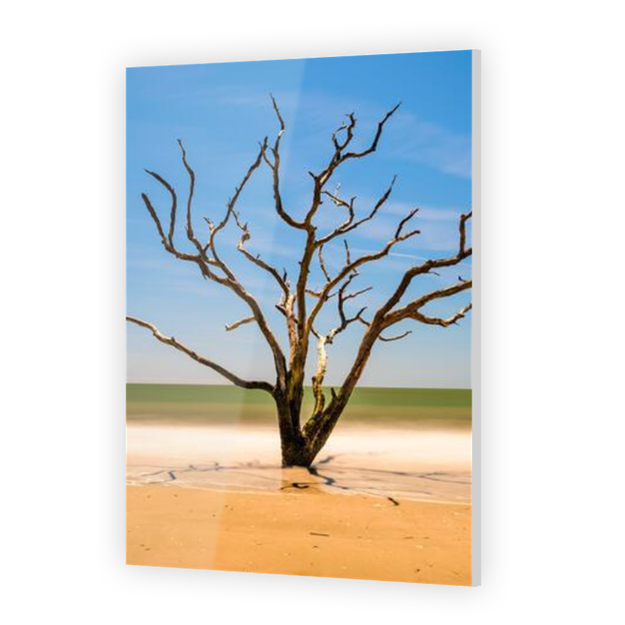 Thumbnail for Acrylic
