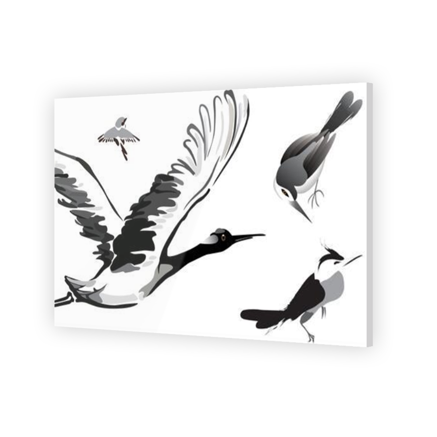 Thumbnail for Acrylic