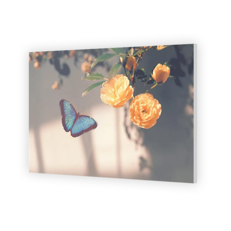 Thumbnail for Acrylic