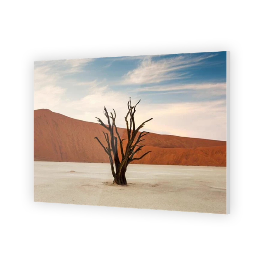 Thumbnail for Acrylic