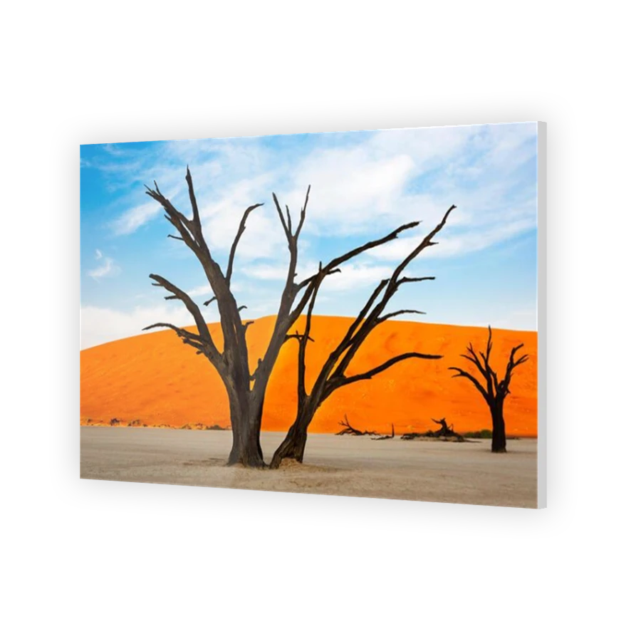 Thumbnail for Acrylic