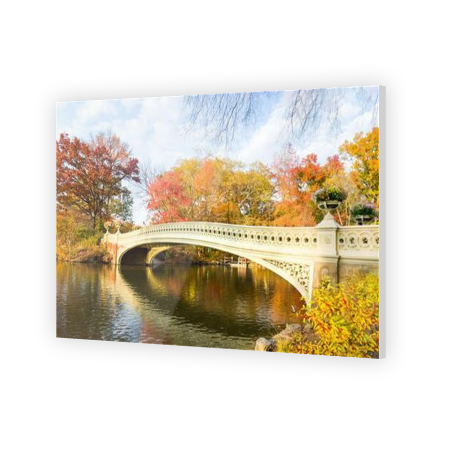 Thumbnail for Acrylic