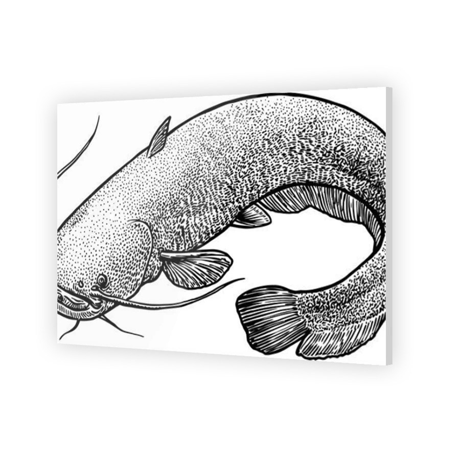 Thumbnail for Acrylic
