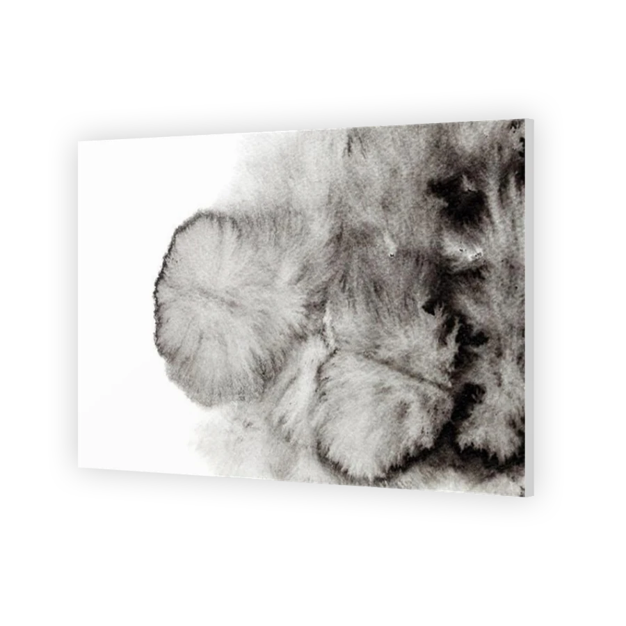 Thumbnail for Acrylic