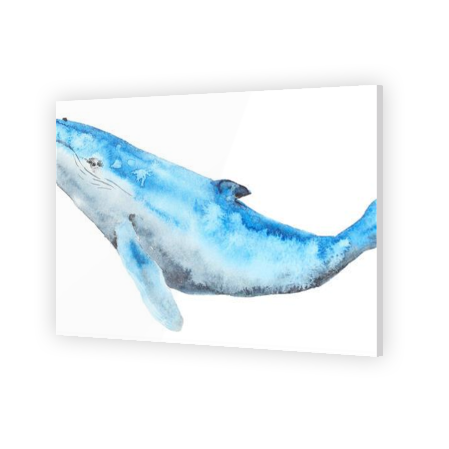 Thumbnail for Acrylic
