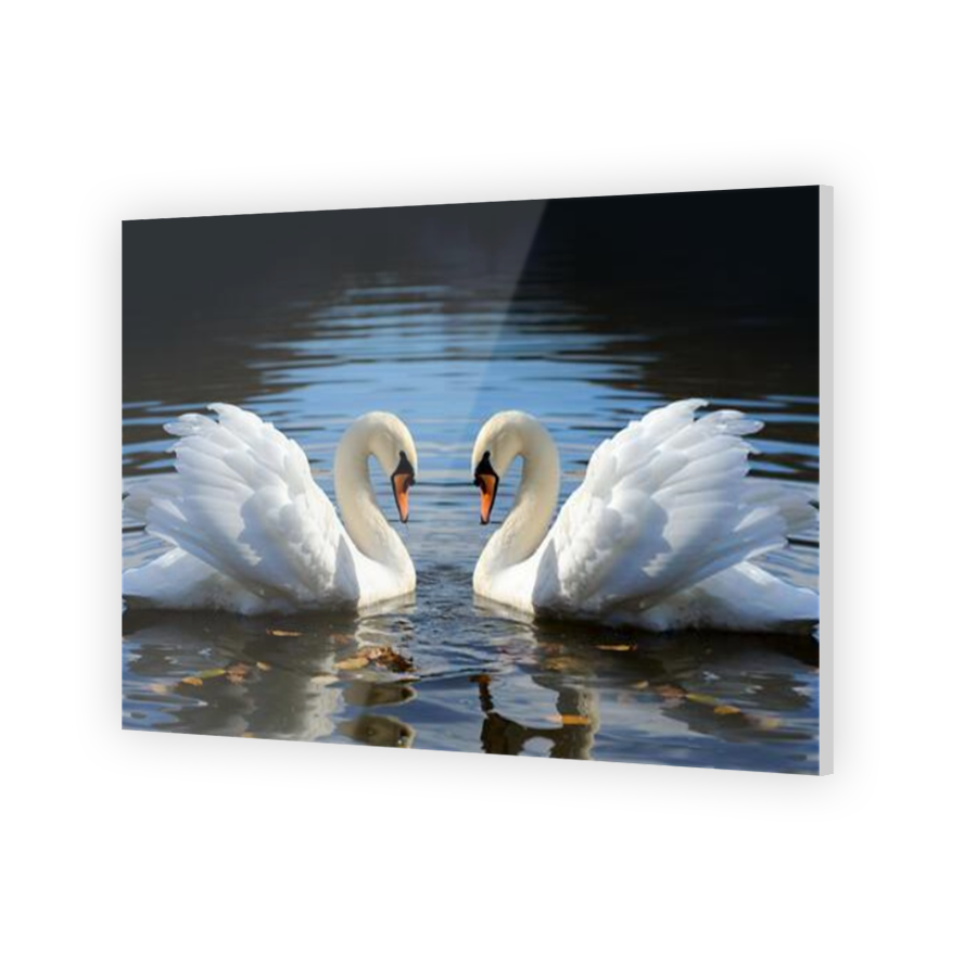 Thumbnail for Acrylic