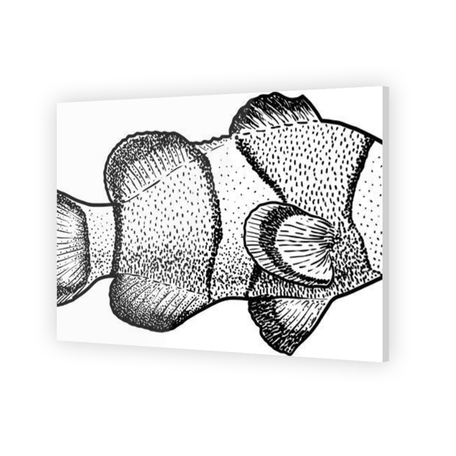 Thumbnail for Acrylic