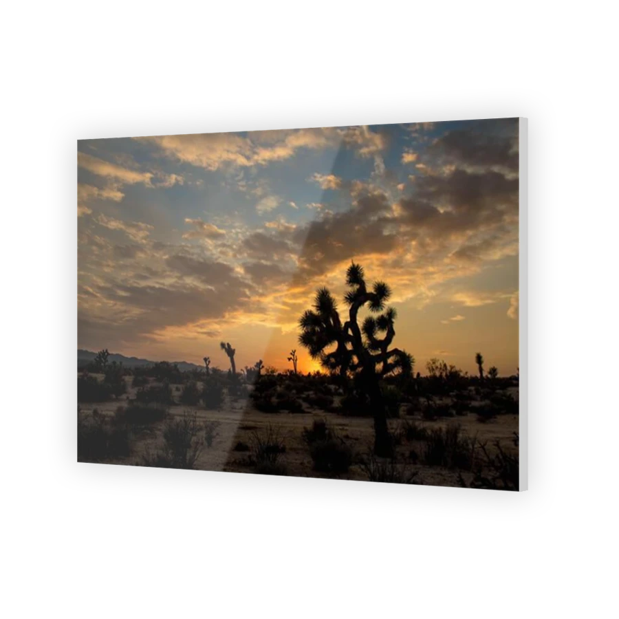 Thumbnail for Acrylic