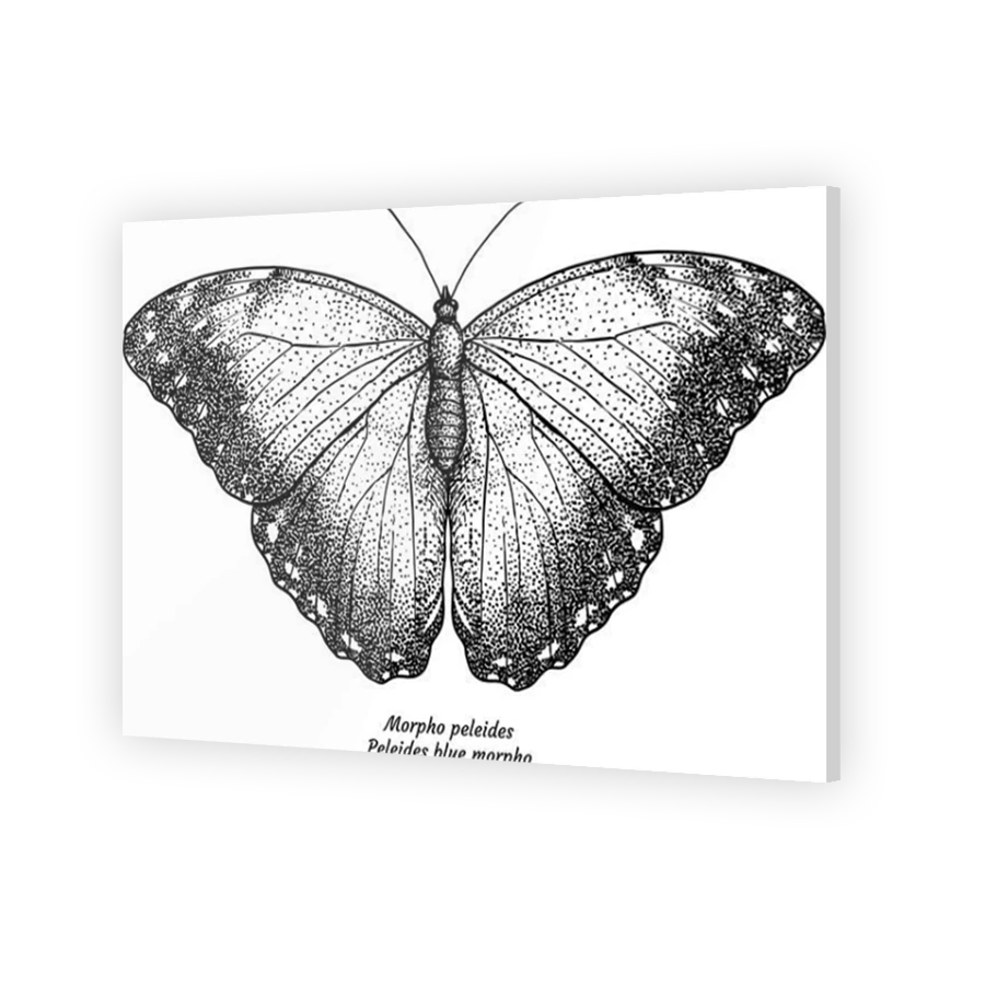 Thumbnail for Acrylic