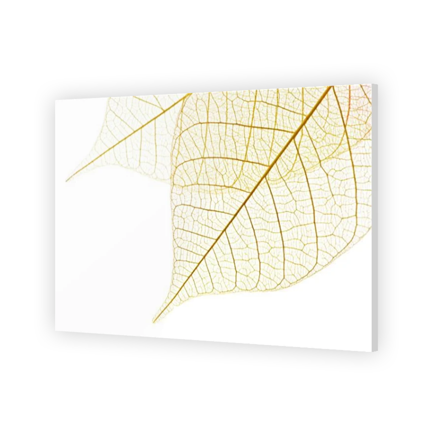 Thumbnail for Acrylic