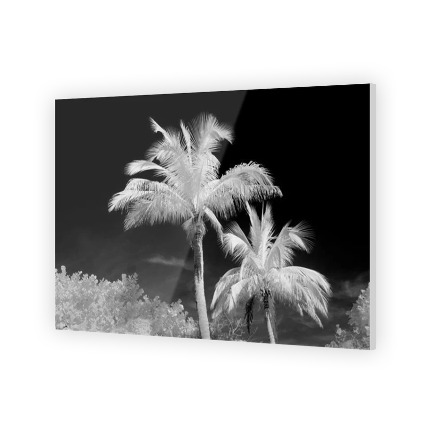 Thumbnail for Acrylic