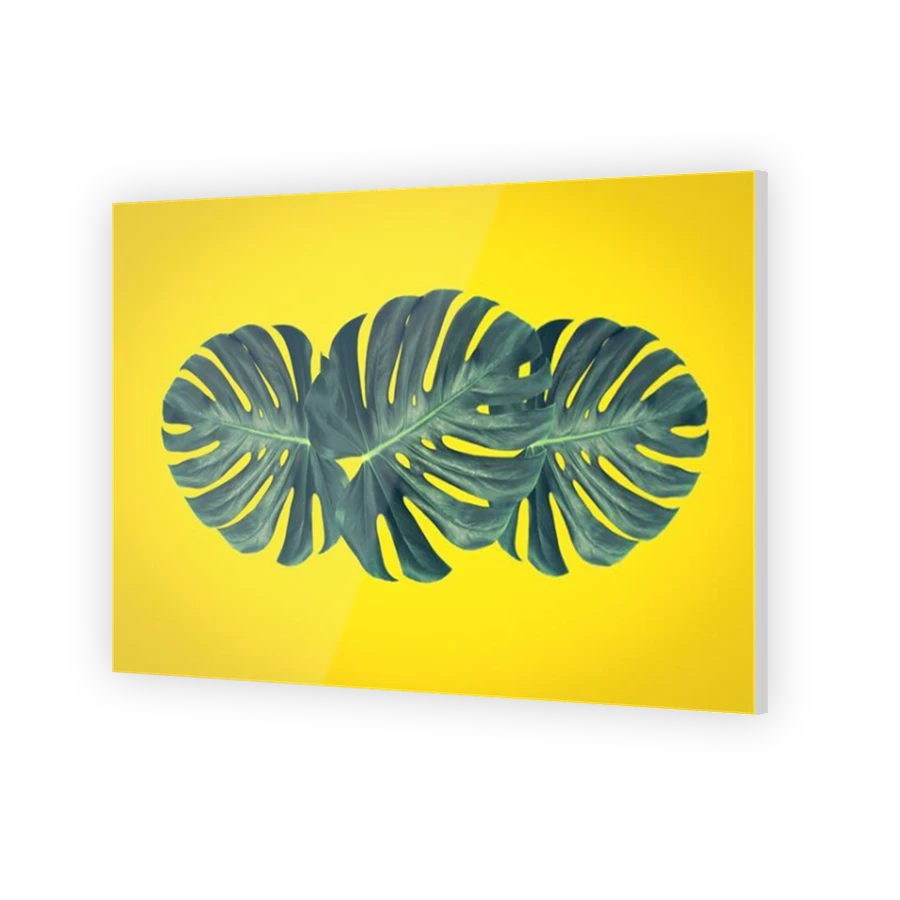 Thumbnail for Acrylic