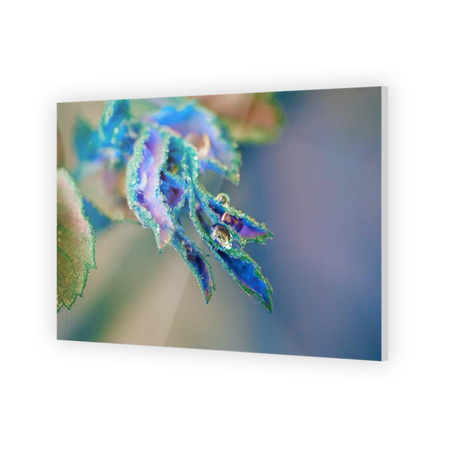 Thumbnail for Acrylic
