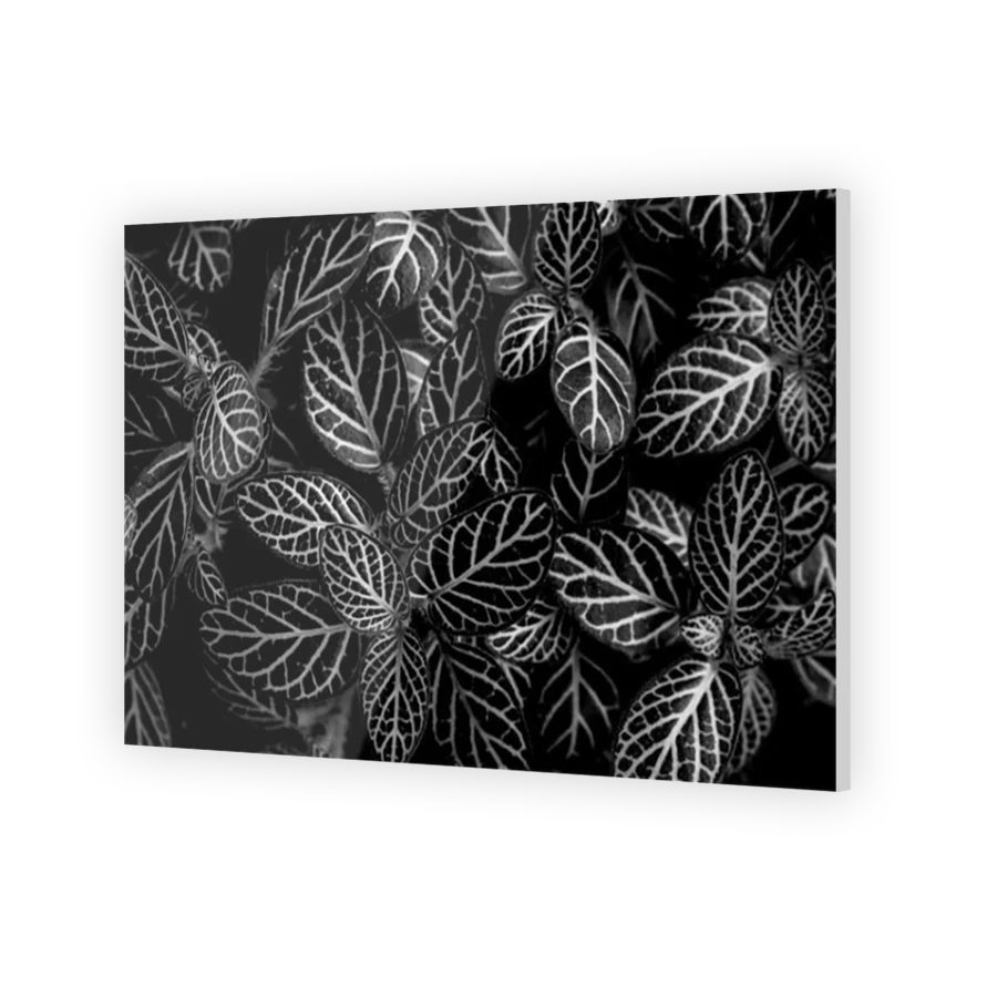 Thumbnail for Acrylic