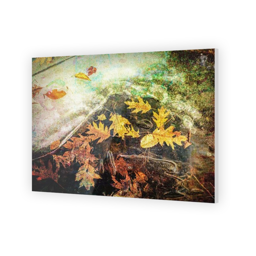 Thumbnail for Acrylic