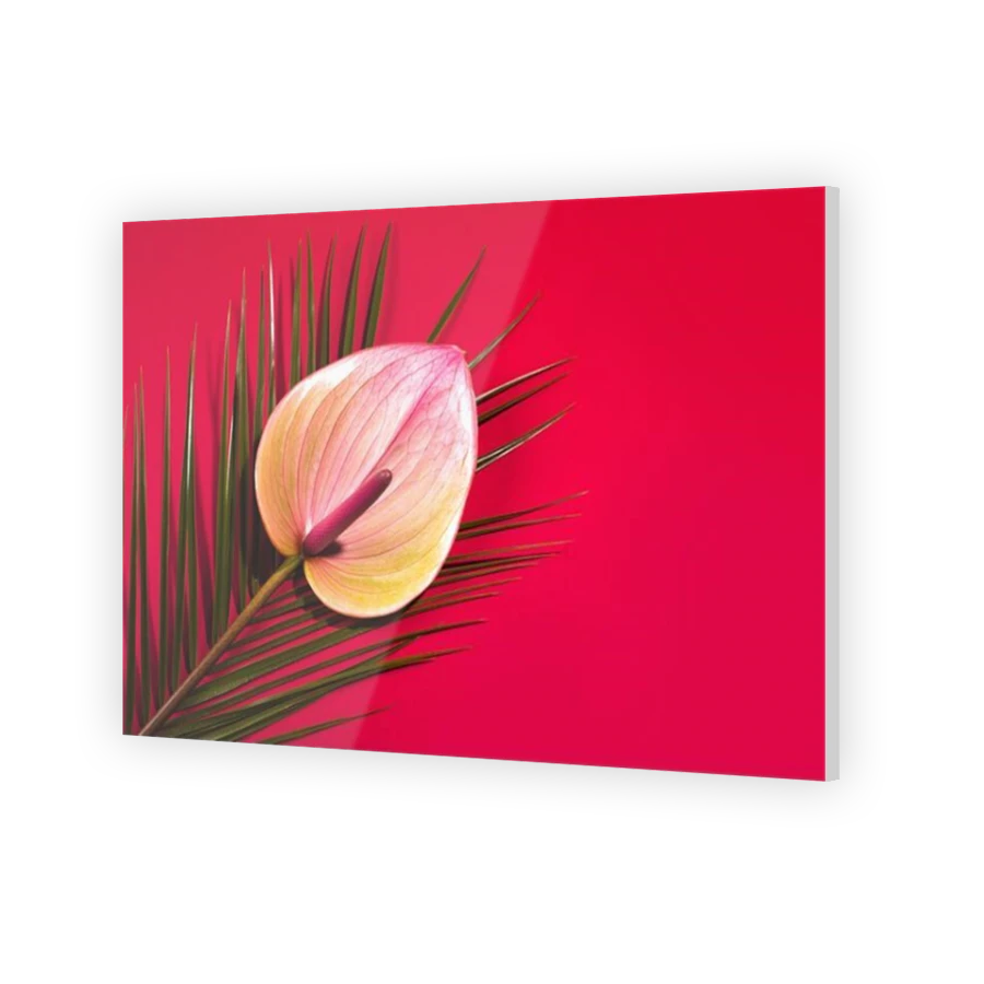 Thumbnail for Acrylic