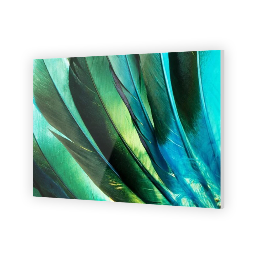 Thumbnail for Acrylic