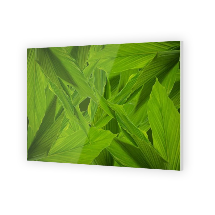 Thumbnail for Acrylic
