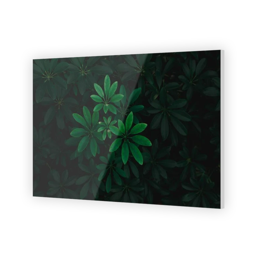 Thumbnail for Acrylic