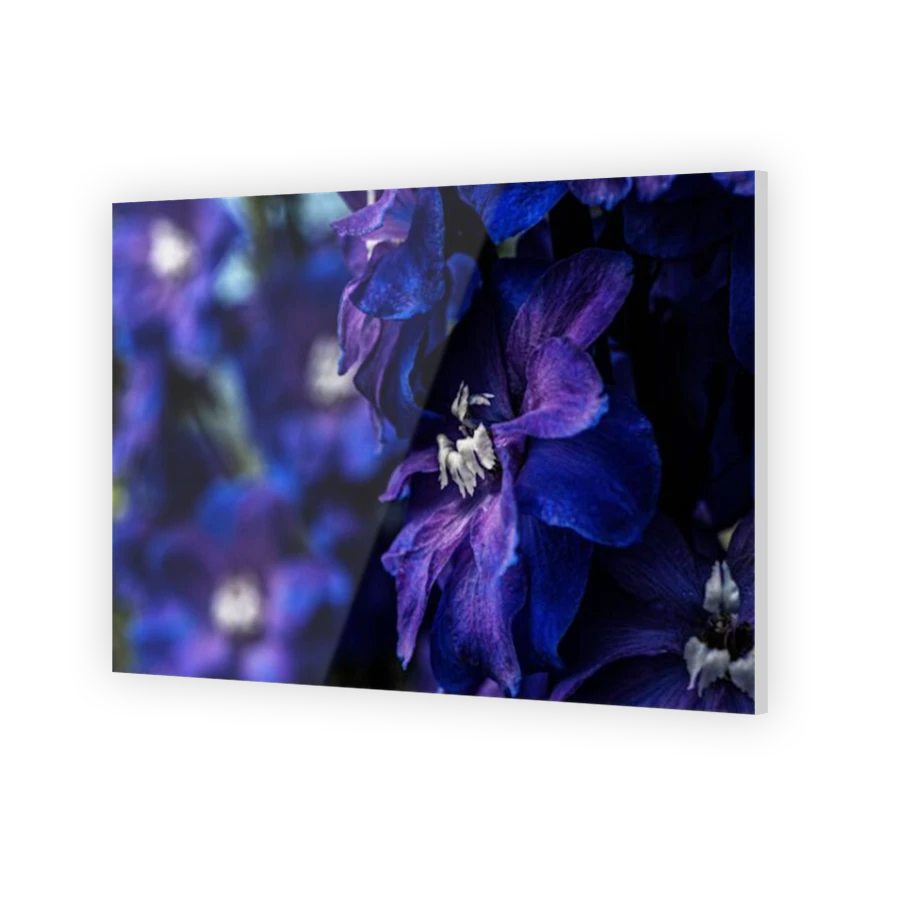 Thumbnail for Acrylic