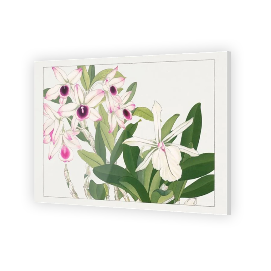Thumbnail for Acrylic