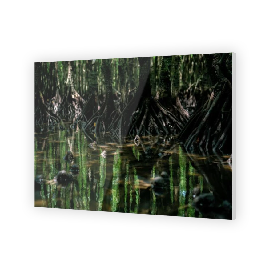 Thumbnail for Acrylic
