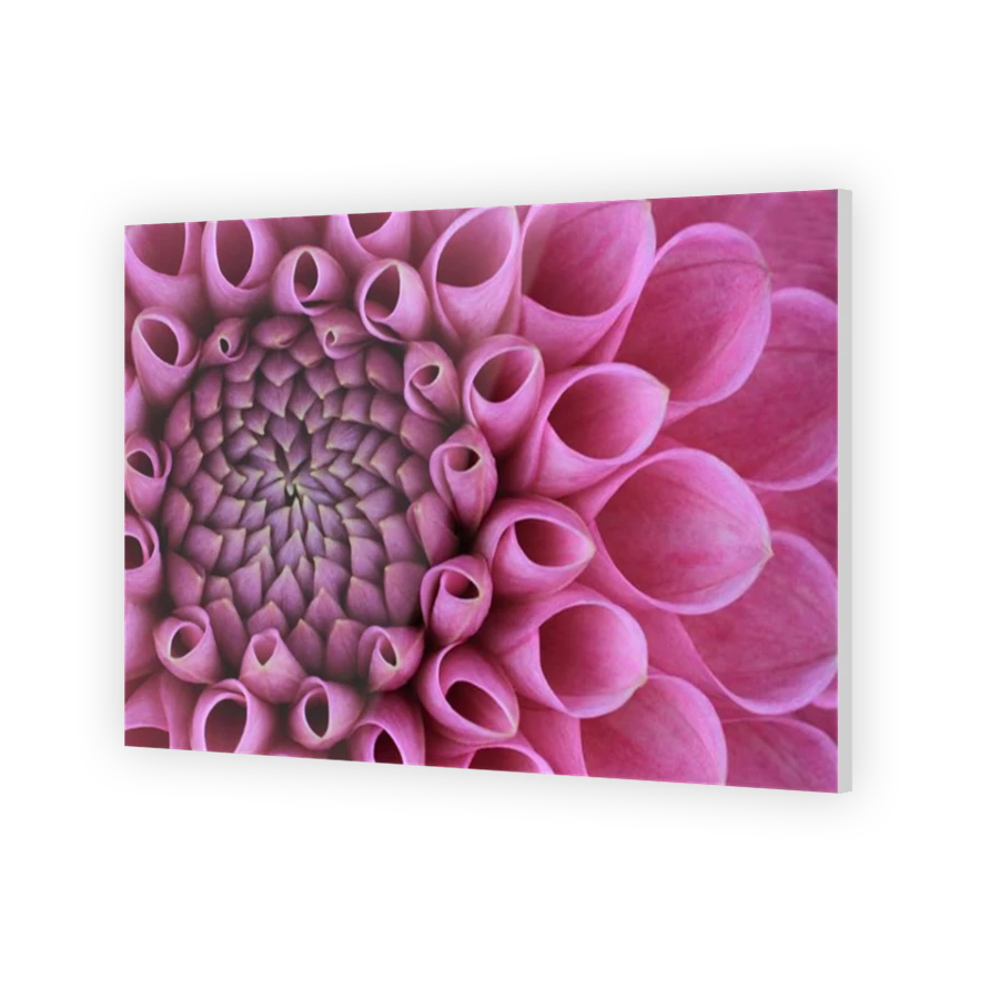 Thumbnail for Acrylic