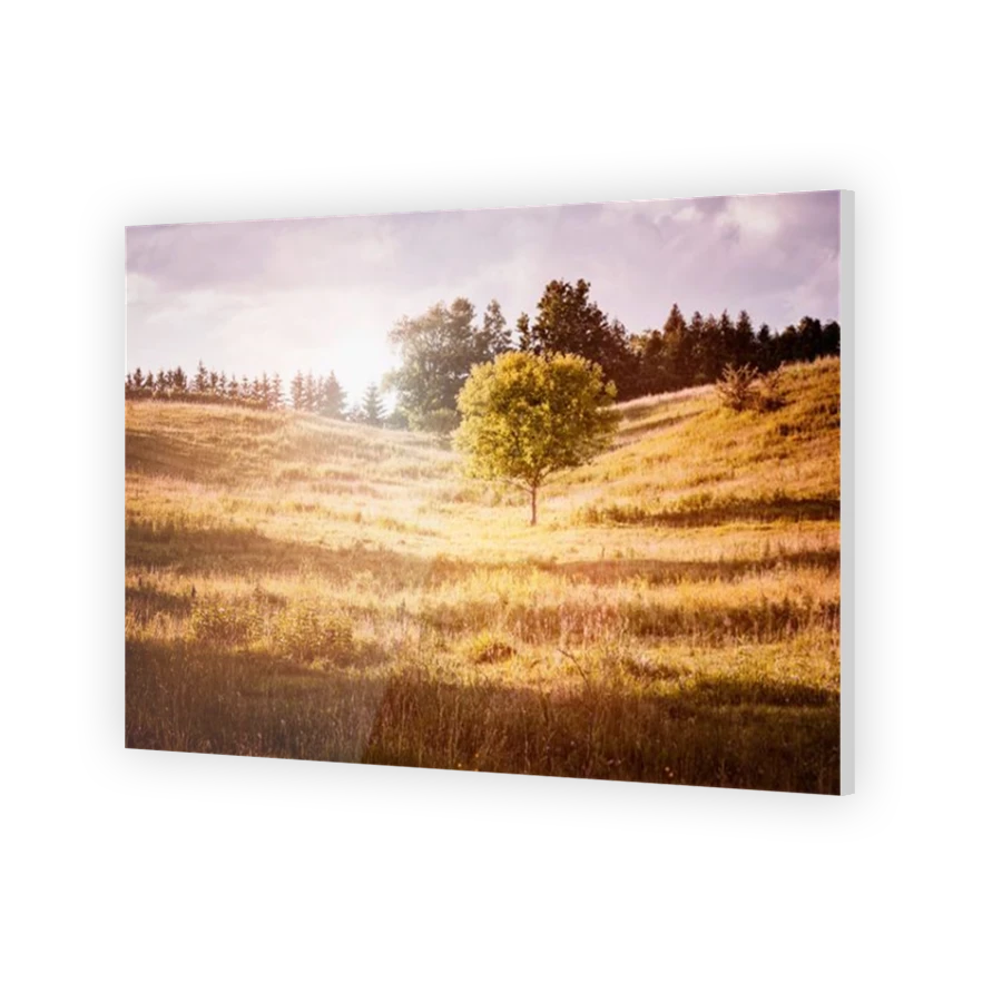 Thumbnail for Acrylic