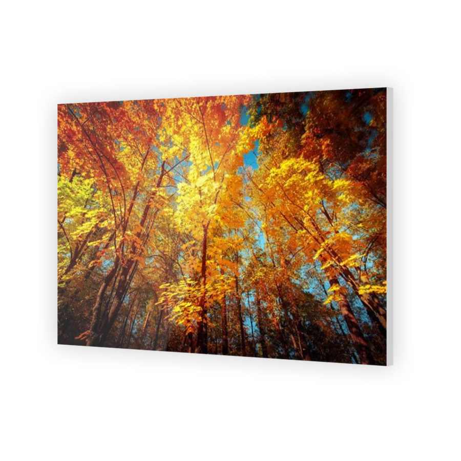 Thumbnail for Acrylic