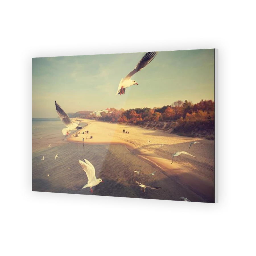 Thumbnail for Acrylic