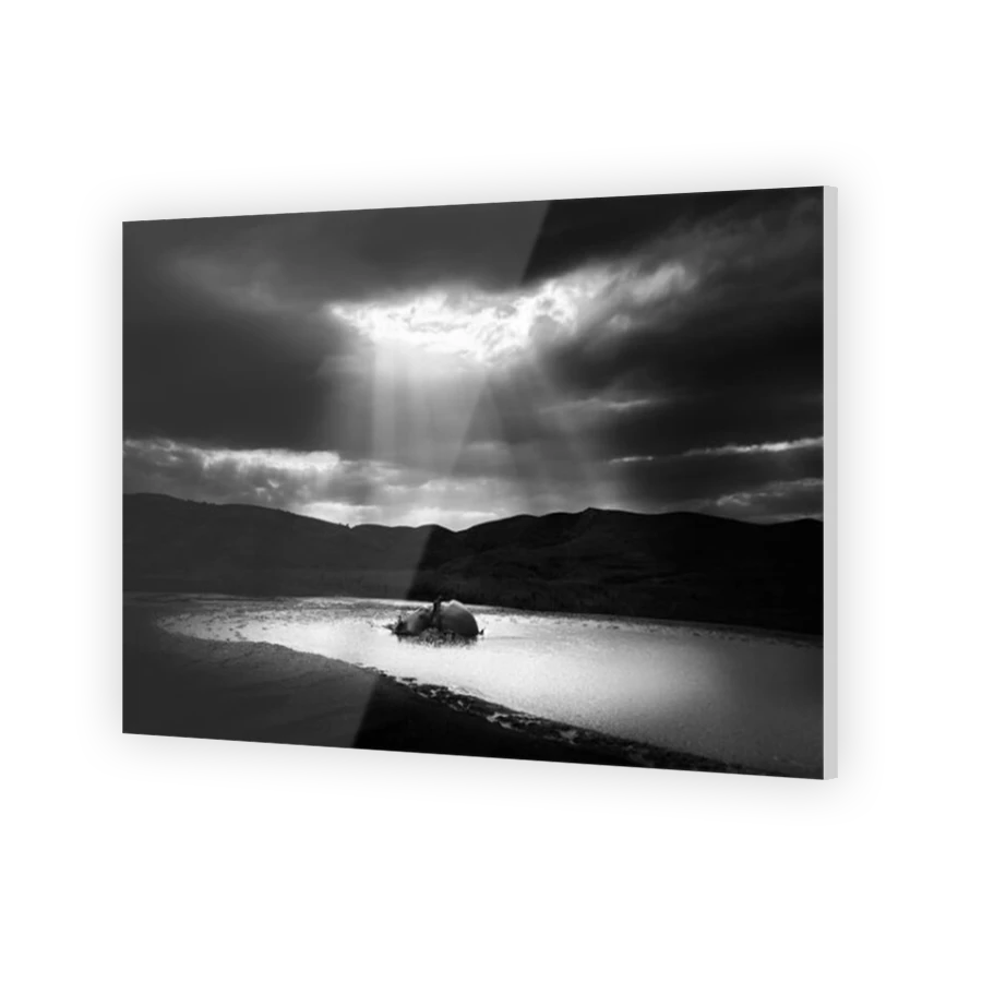 Thumbnail for Acrylic