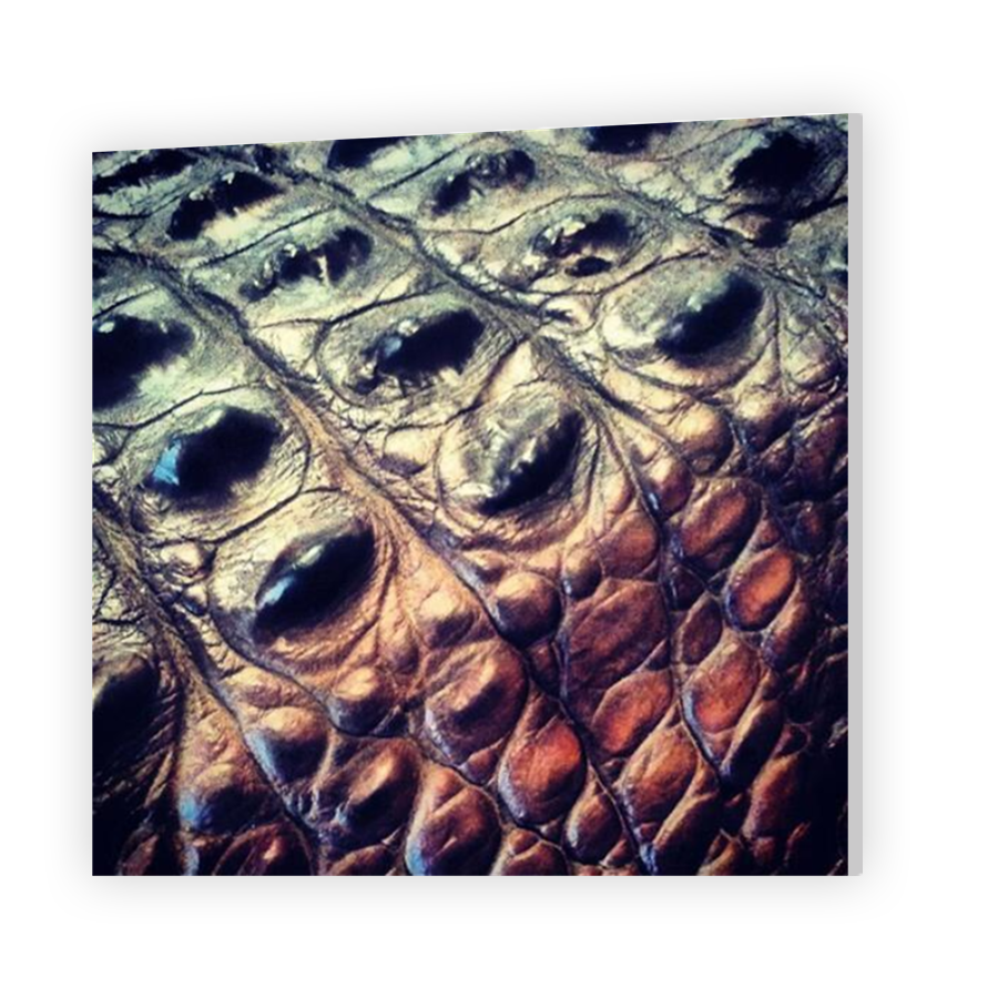 Thumbnail for HD Metal