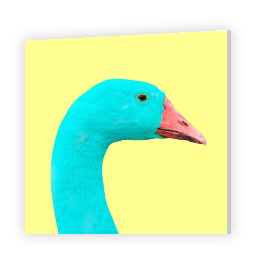 Thumbnail for HD Metal