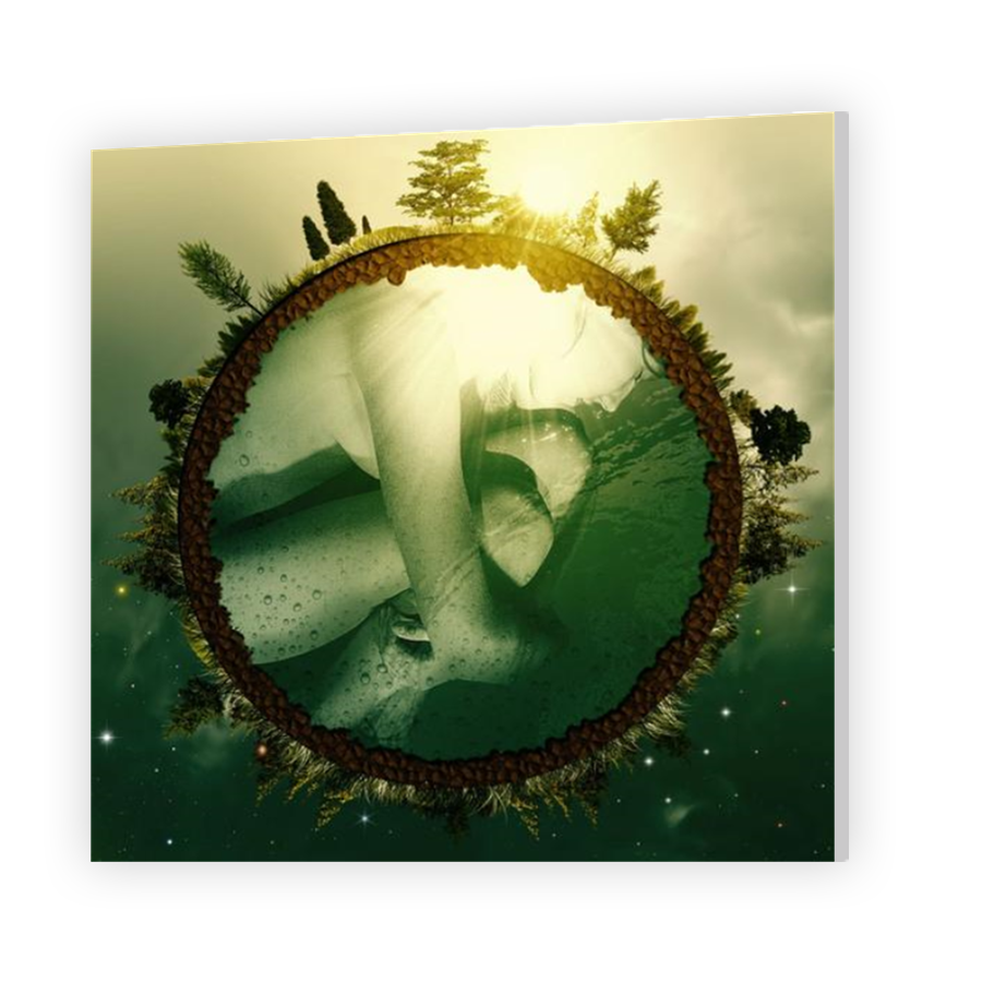 Thumbnail for HD Metal