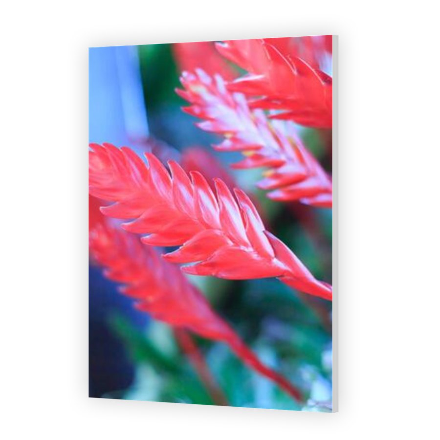 Thumbnail for HD Metal