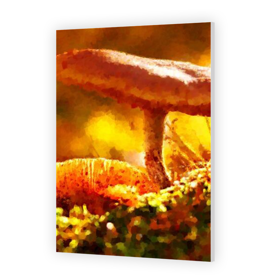 Thumbnail for HD Metal