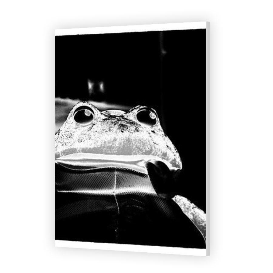Thumbnail for HD Metal