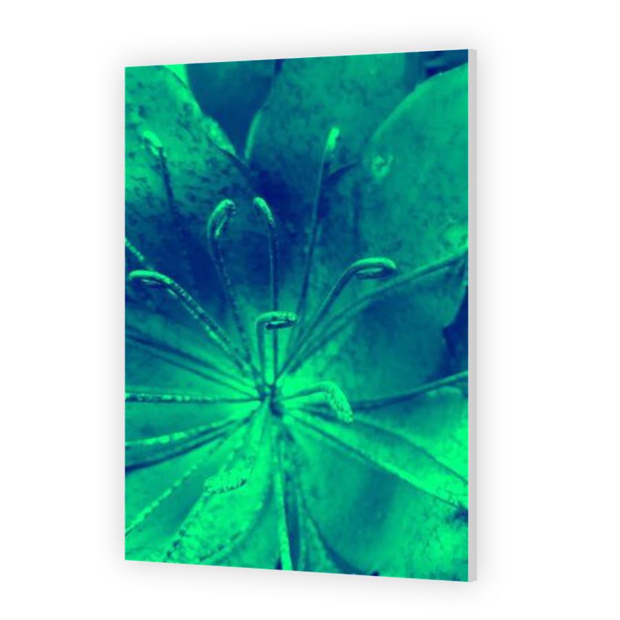 Thumbnail for HD Metal