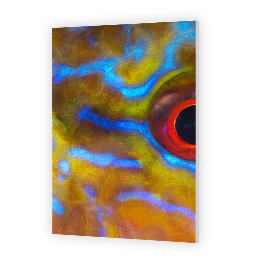 Thumbnail for HD Metal