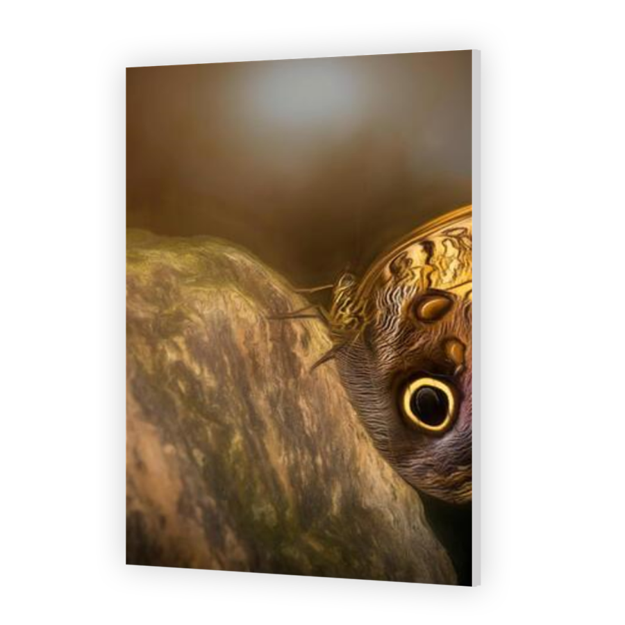 Thumbnail for HD Metal