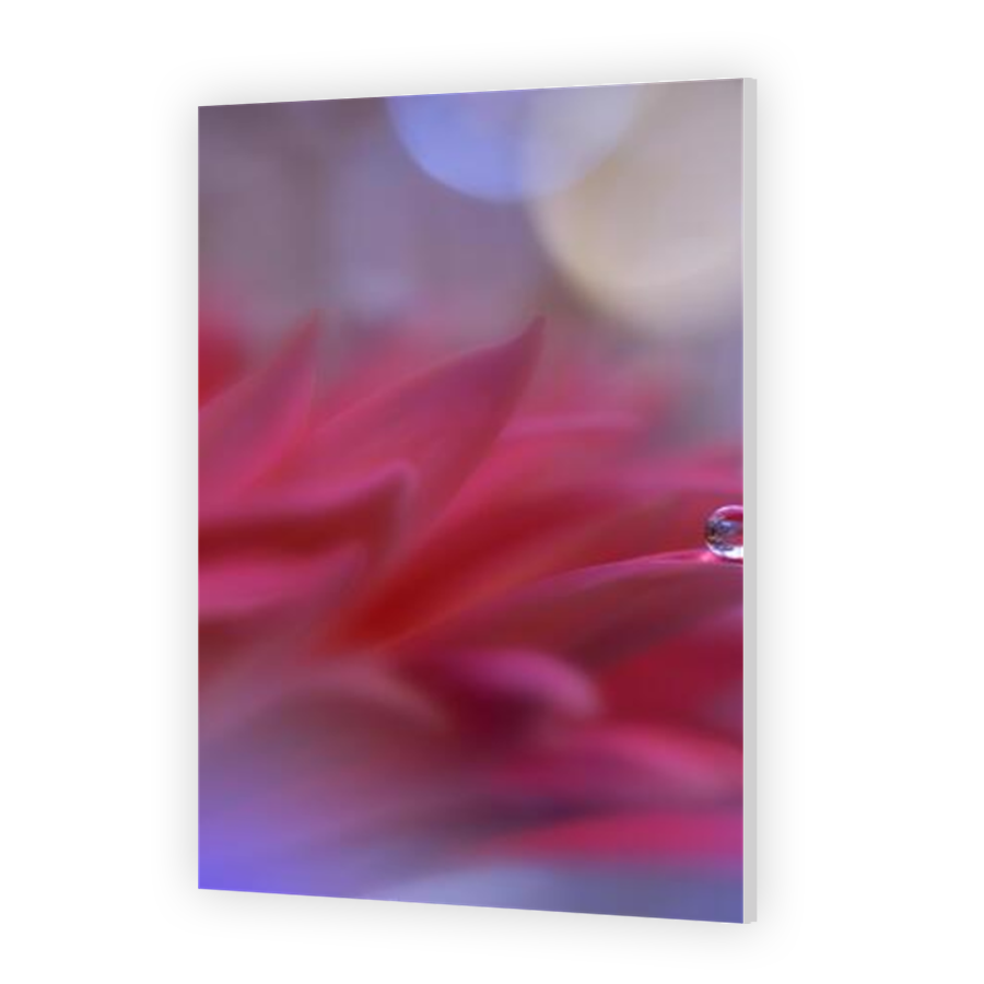Thumbnail for HD Metal