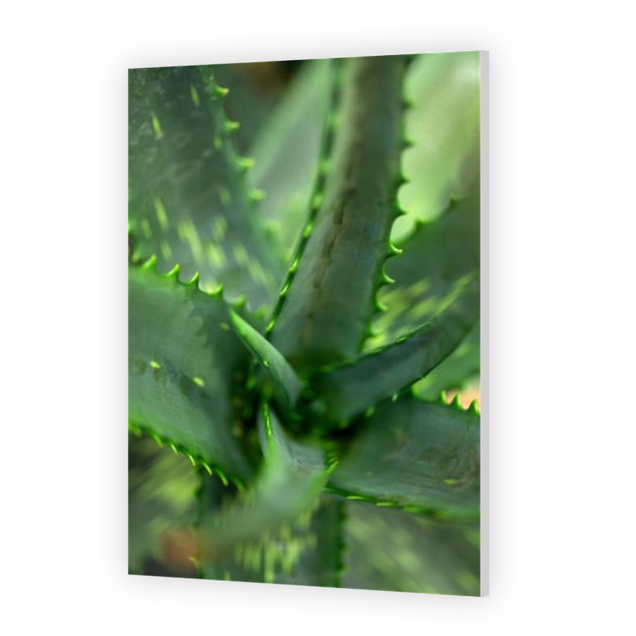 Thumbnail for HD Metal