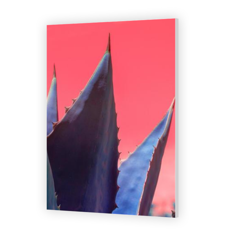 Thumbnail for HD Metal