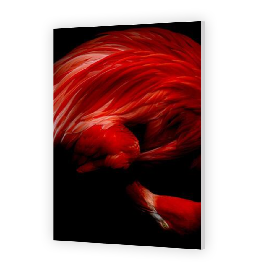 Thumbnail for HD Metal