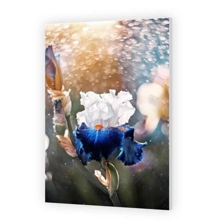 Thumbnail for HD Metal