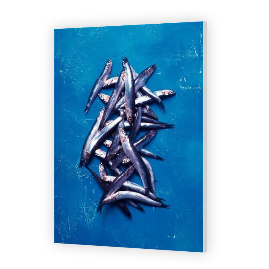 Thumbnail for HD Metal