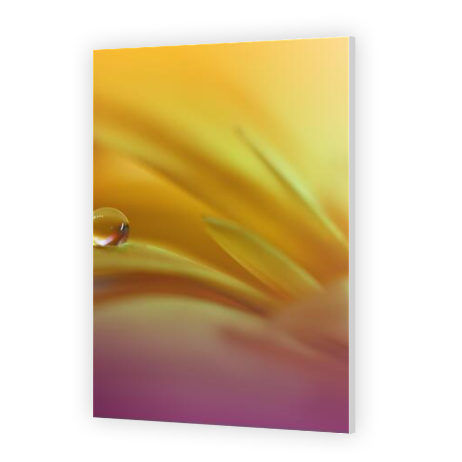 Thumbnail for HD Metal